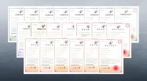 高遠(yuǎn)路業(yè)：234項(xiàng)專(zhuān)利助推企業(yè)發(fā)展